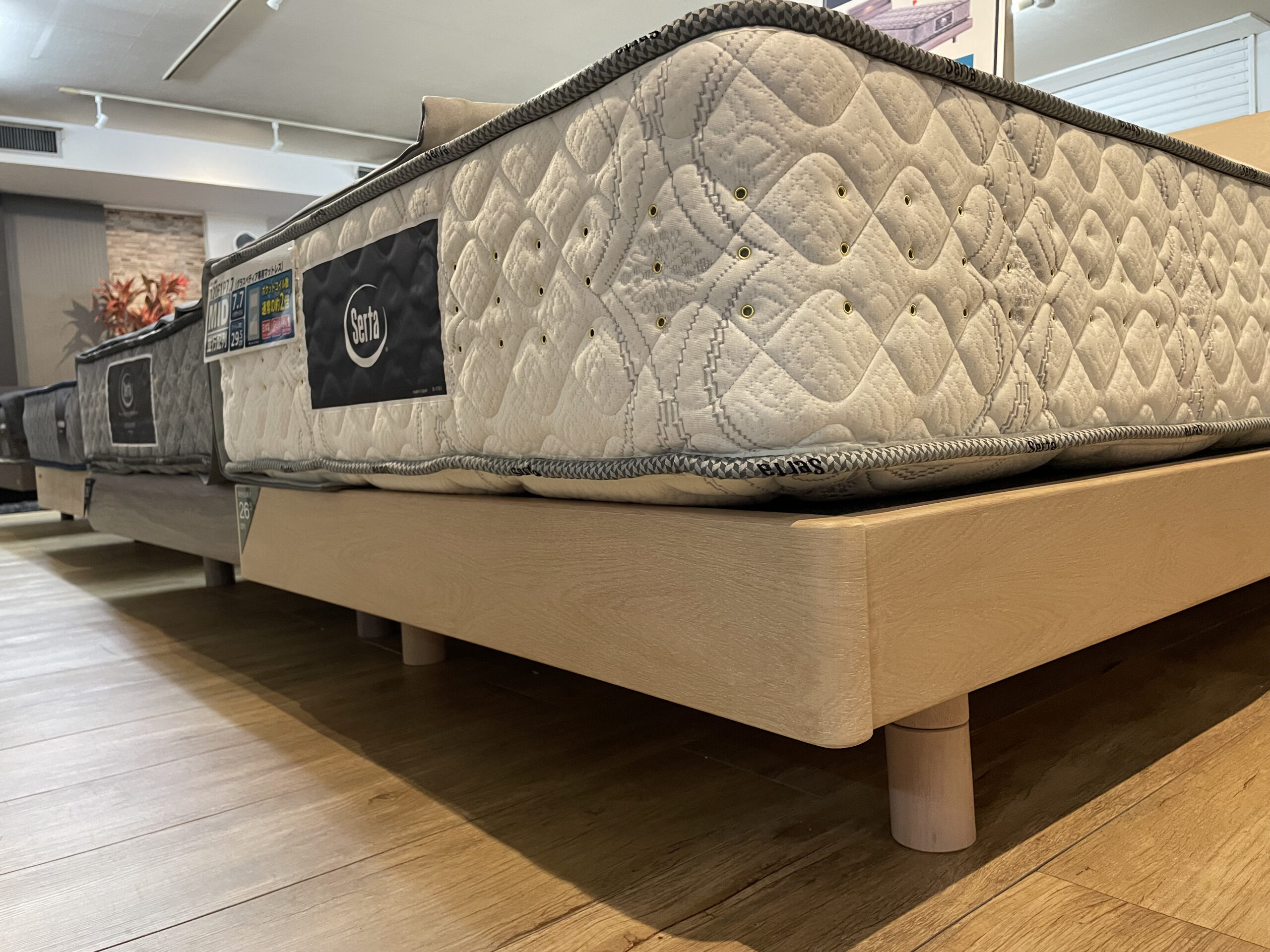 サータグラスペディア2230 (マットレス+フレーム )PS